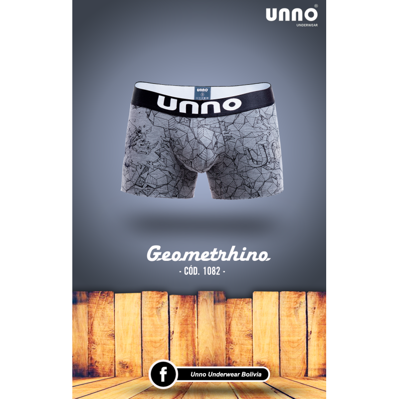 GEOMETRHINO