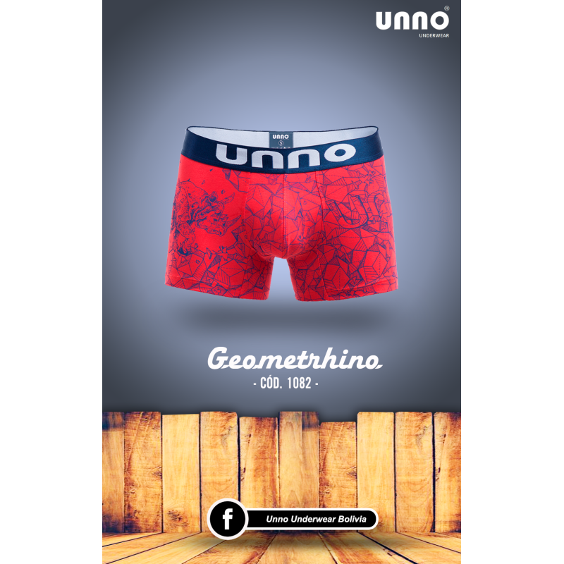 GEOMETRHINO