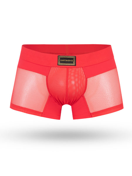MINI BOXER OBSESION