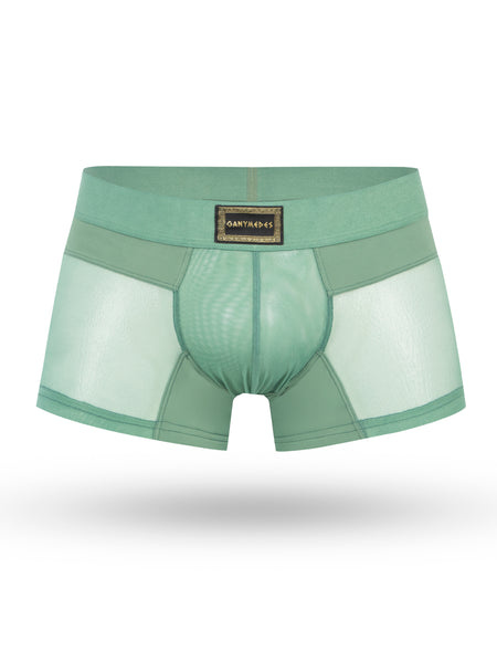 MINI BOXER OBSESION